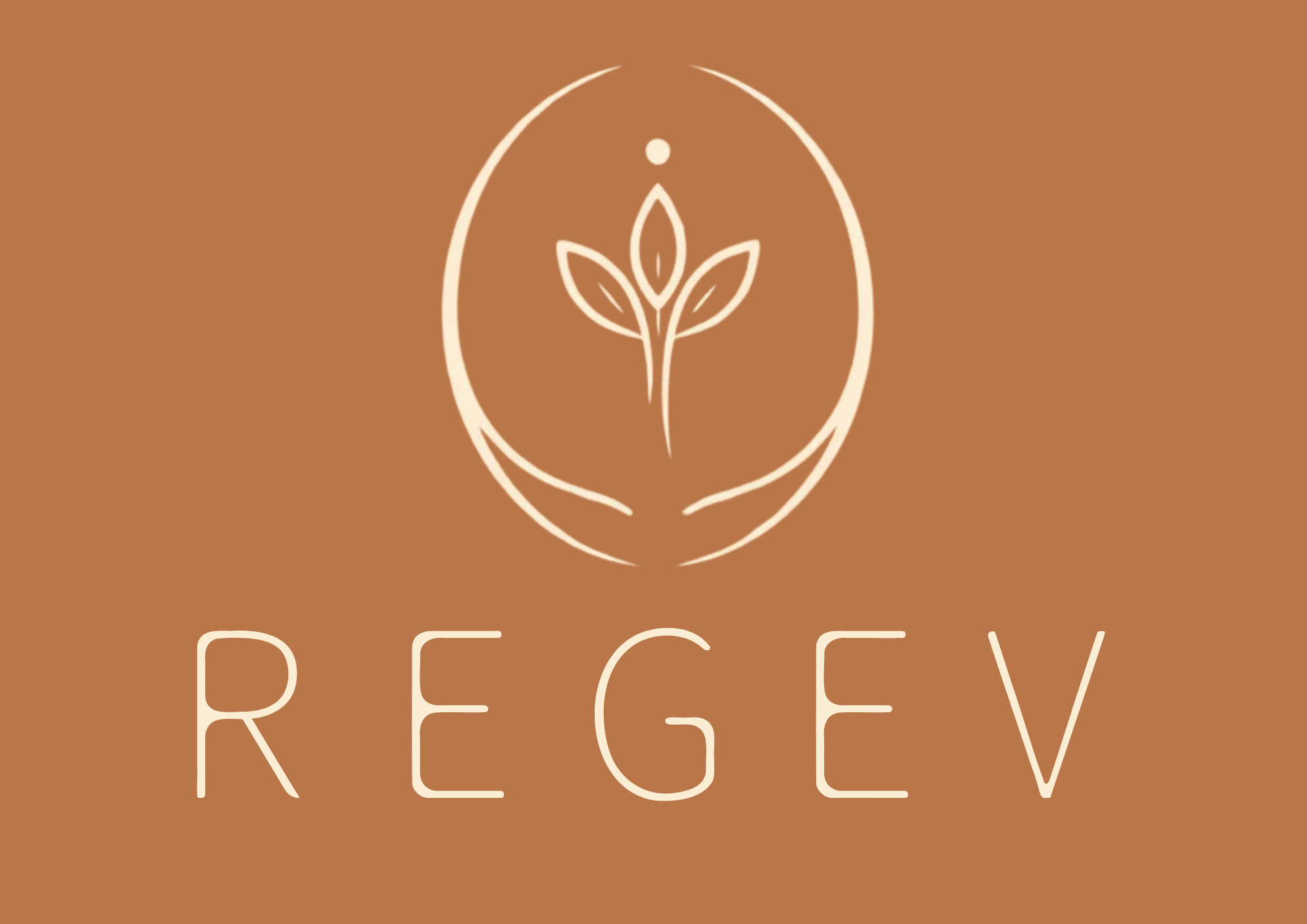 REGEV Productions